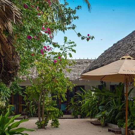 Badolina Bungalows Nungwi Εξωτερικό φωτογραφία