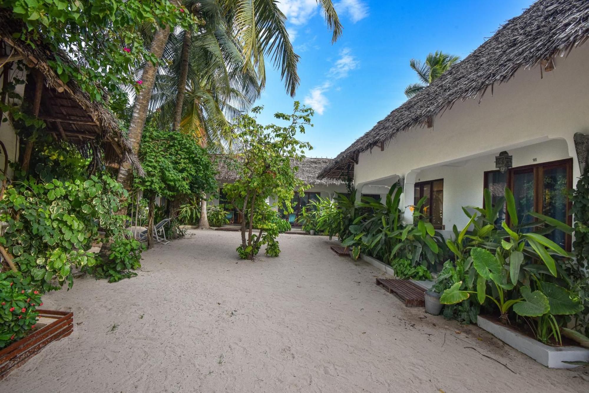 Badolina Bungalows Nungwi Εξωτερικό φωτογραφία