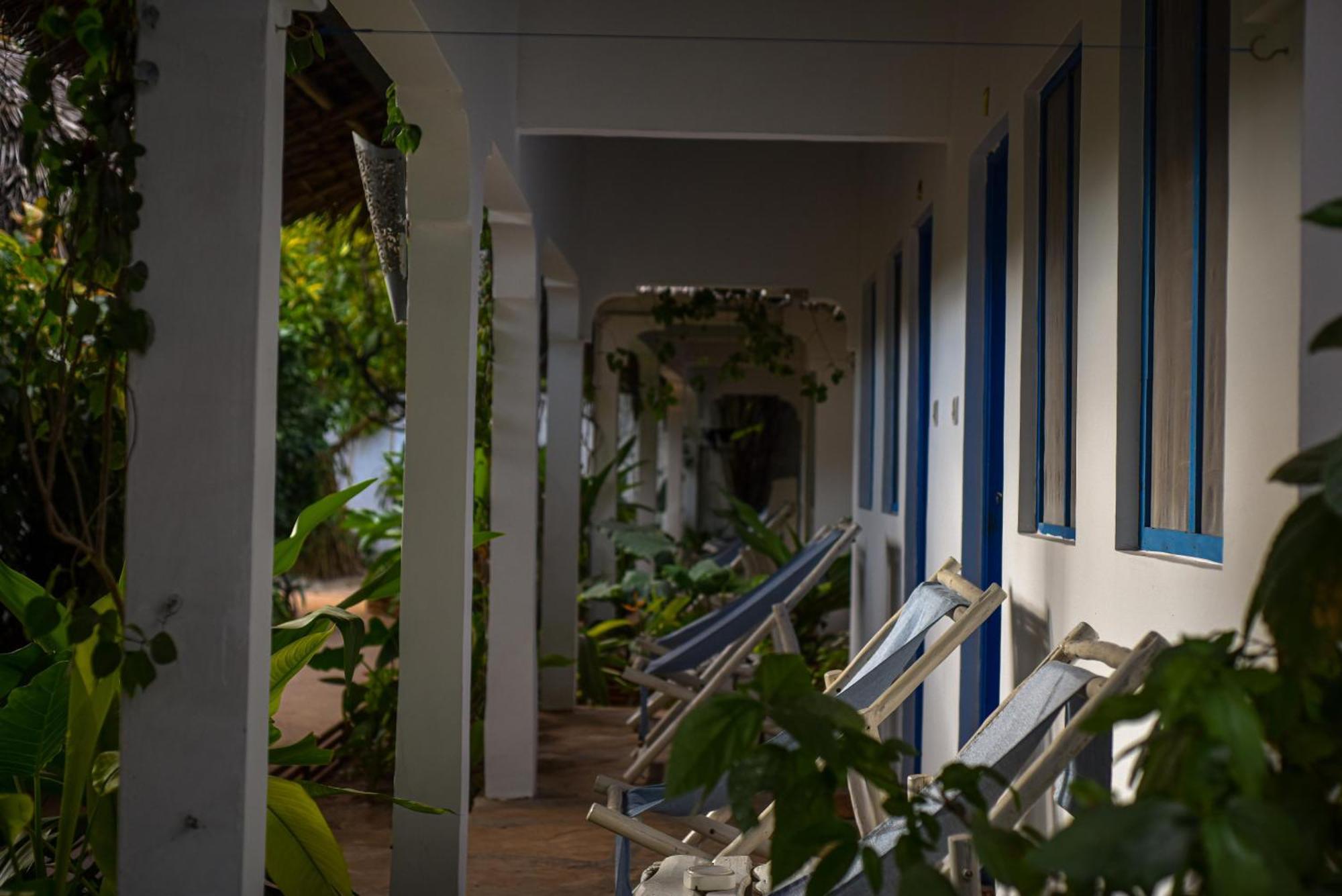 Badolina Bungalows Nungwi Εξωτερικό φωτογραφία